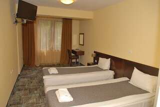 Отель Balkan Hotel Чифлик Двухместный номер с 2 отдельными кроватями-4