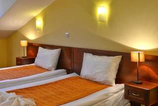 Отель Balkan Hotel Чифлик Двухместный номер с 1 кроватью - Мансарда-2
