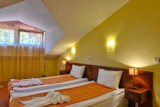 Отель Balkan Hotel Чифлик Двухместный номер с 1 кроватью - Мансарда-5