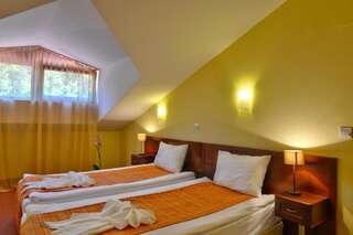 Отель Balkan Hotel Чифлик Двухместный номер с 1 кроватью - Мансарда-8